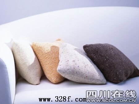 太平园家私布下双节促销阵势(组图)