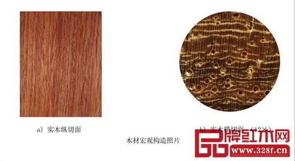 《红木》国标中大果紫檀(缅甸花梨)木材宏观构造照片,左边为实木纵切面,右边为实木横切面 《红木》国标中大果紫檀(缅甸花梨)木材宏观构造照片,左边为实木纵切面,右边为实木横切面