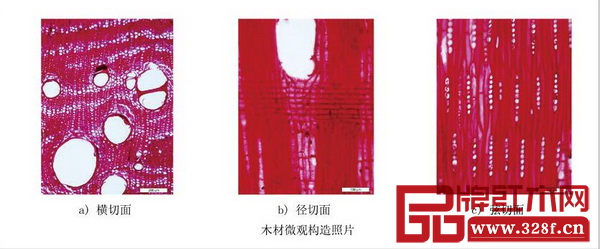 《红木》国标中大果紫檀木材微观构造照片，从左到右依次为横切面、径切面、弦切面 