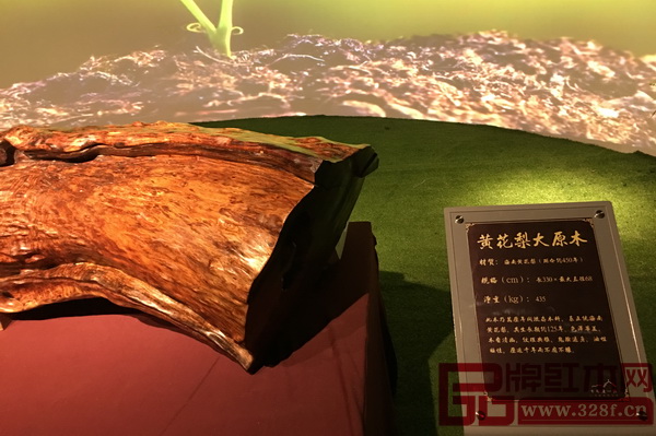 红博城博物馆群落内的黄花梨原木 红博城博物馆群落内的黄花梨原木
