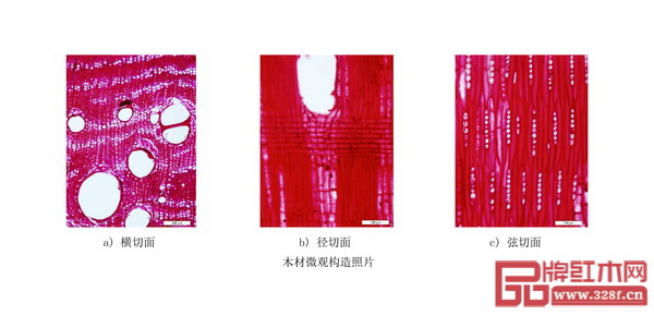  《红木》国标中缅甸花梨微观构造照片（从左到右依次为横切面、径切面、弦切面）