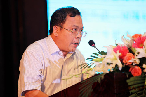 广东省经信委副主任林位超作升级转型工作报告