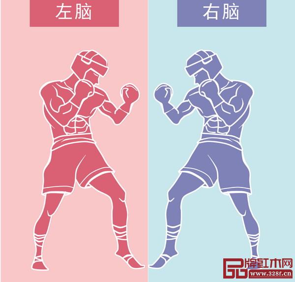 左脑VS右脑 左脑VS右脑