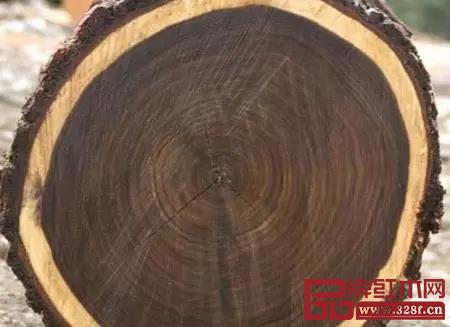东非黑黄檀 东非黑黄檀