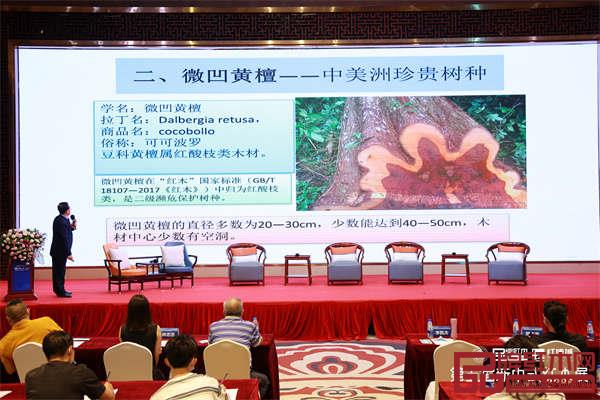 微凹黄檀是豆科黄檀属红酸枝类木材 微凹黄檀是豆科黄檀属红酸枝类木材