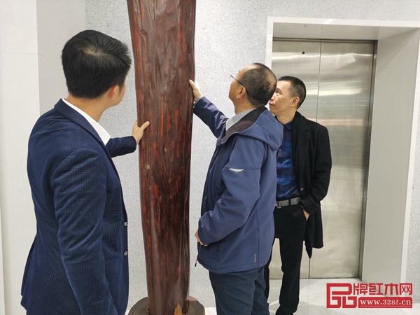 故宫博物院家具研究员周京南(中)品鉴波记紫檀馆小叶紫檀木材 故宫博物院家具研究员周京南(中)品鉴波记紫檀馆小叶紫檀木材