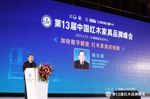 国务院参事室特邀研究员、国家人社部原副部长、中国劳动学会会长杨志明进行主题分享 国务院参事室特邀研究员、国家人社部原副部长、中国劳动学会会长杨志明进行主题分享