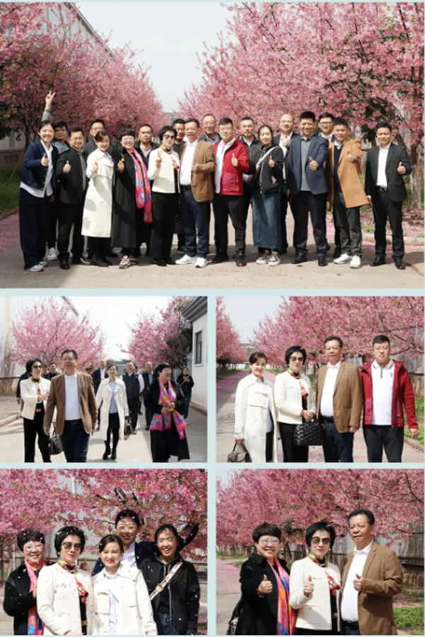 众人一同赏樱并合影留念 众人一同赏樱并合影留念